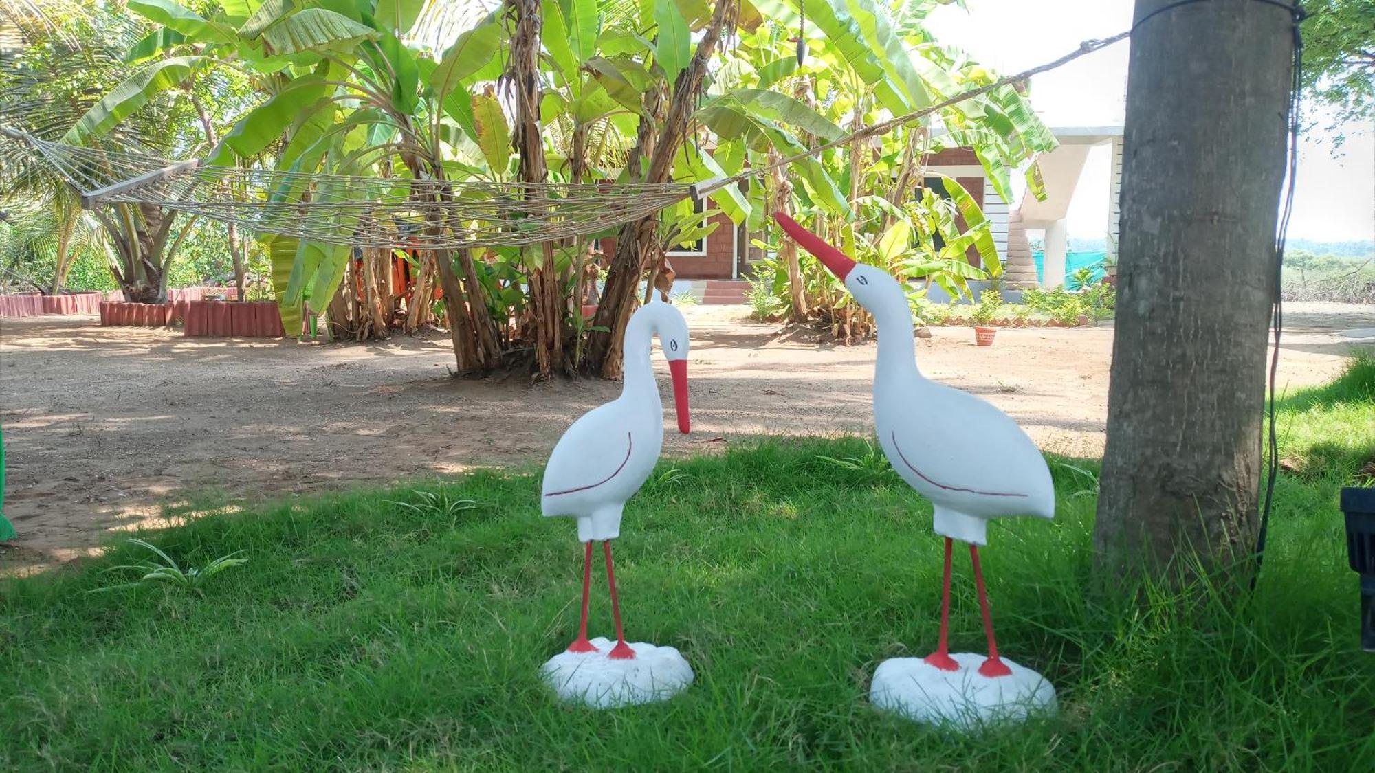 Coconut Village Resort Alibag Zewnętrze zdjęcie